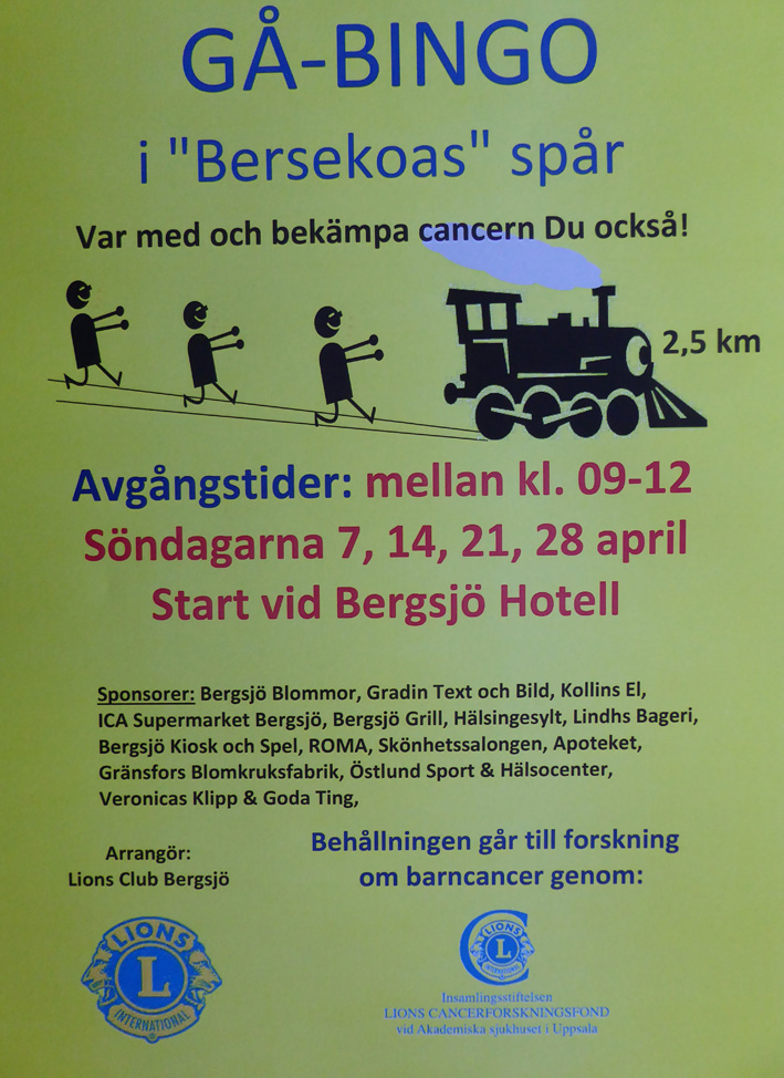 Gå bingo 4 19